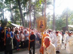 apanasiuk 
Przywitanie gościa zagranicznego 
2012-09-07 11:13:49