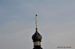 bargus 
 
2012-09-09 18:38:42