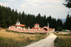 Anima_Mea 
 
2012-09-11 21:05:25