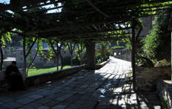bogdan 
Ιερά Μονή  ΣΤΑΥΡΟΝΙΚΗΤΑ - Holy Monastery of  STAYRONIKITAS - Монастырь Ставроникита (3) 
2012-09-12 14:05:57