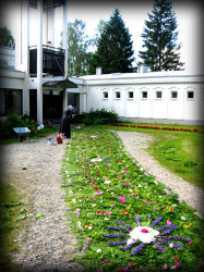 Maahiska 
Flower carpet of  Lintula monastery 
2012-09-13 11:56:27