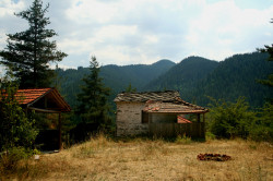 Anima_Mea 
 
2012-09-16 20:27:50