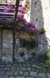 bogdan 
Ιερά Μονή ΣΤΑΥΡΟΝΙΚΗΤΑ - Holy Monastery of STAYRONIKITAS - Монастырь Ставроникита (4) 
2012-09-19 17:31:07