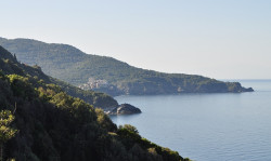 bogdan 
Ιερά Μονή ΣΤΑΥΡΟΝΙΚΗΤΑ - Holy Monastery of STAYRONIKITAS - Монастырь Ставроникита (8) 
2012-09-26 18:22:52