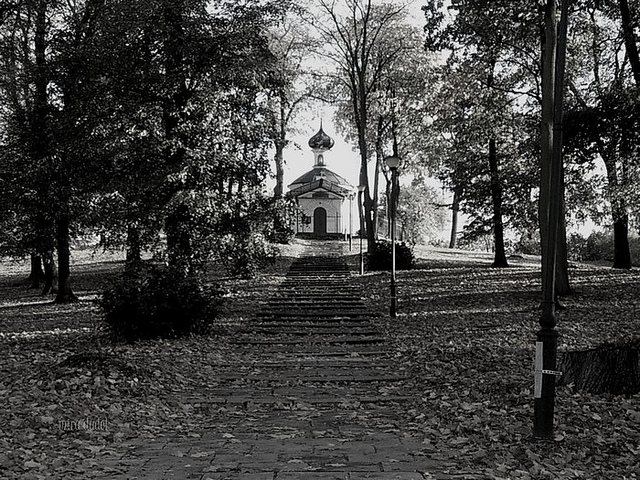 on the hill