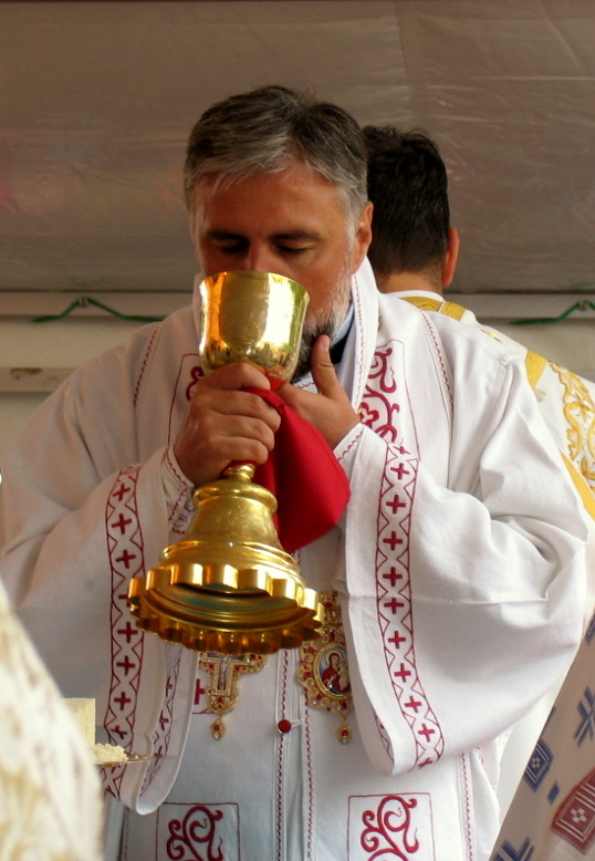 Vladika zahumsko-hercegovački Grigorije