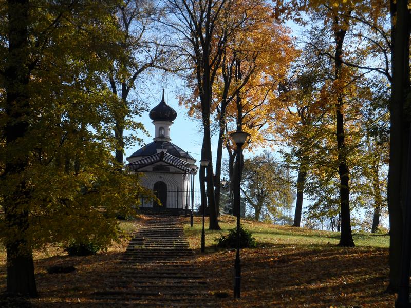 W żółtych płomieniach liści