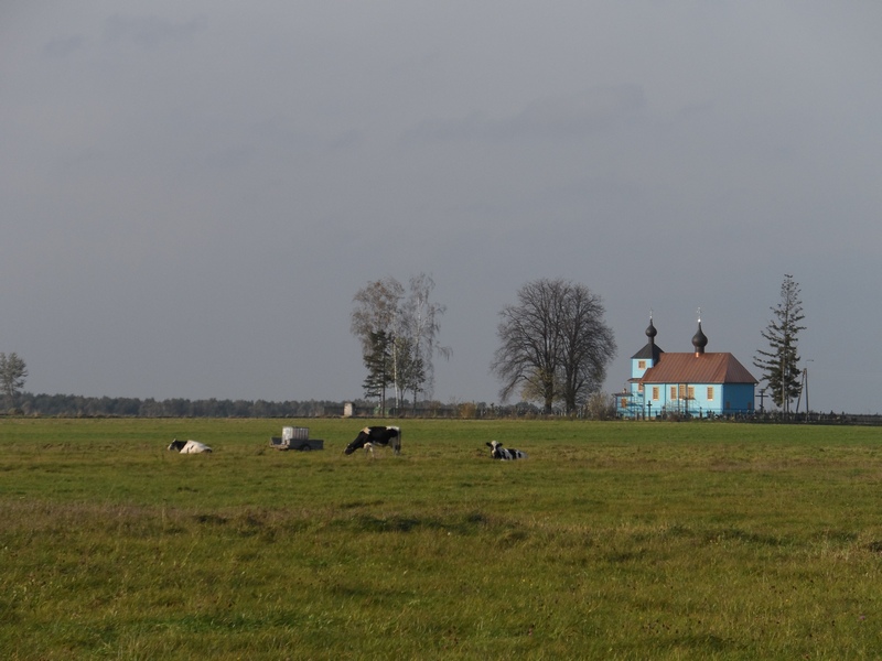 Podlaskie krajobrazy