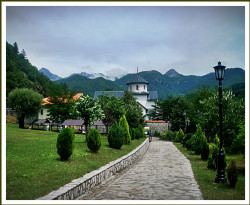 bozur 
Манастир Морача 
2012-10-08 19:43:52