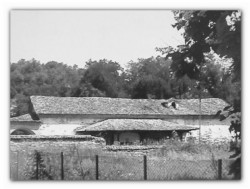 sepia 
...а few years ago 
2012-10-15 19:15:46