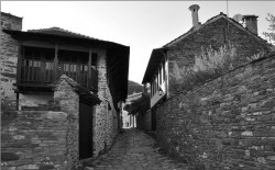 toza 
Кареја ... (8) 
2012-10-19 09:46:39
