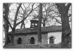 sepia 
...а few years ago 
2012-10-22 19:44:45