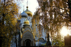 kucharm 
Новодевичий женский монастырь 
2012-10-23 12:00:48