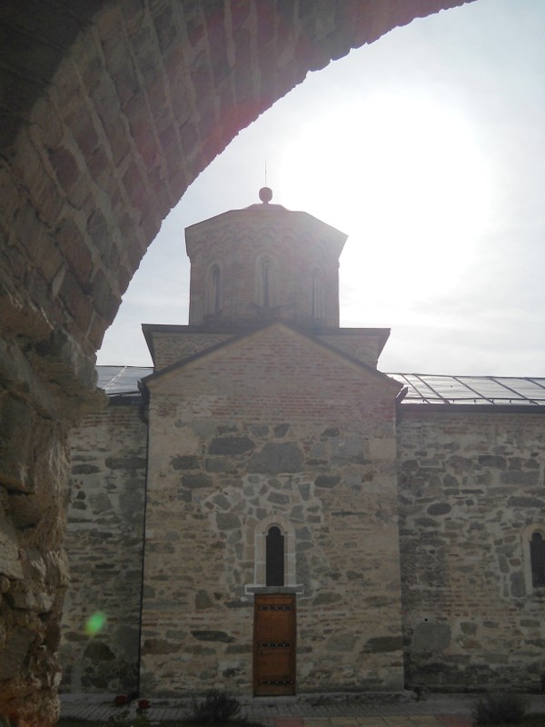 Mesici