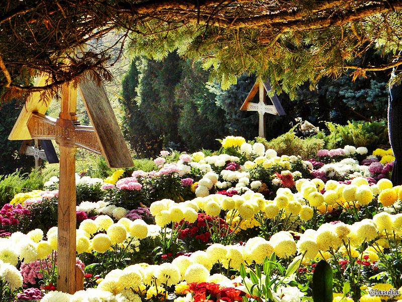Mormantul Parintelui Arsenie Boca de la Manastirea Prislop