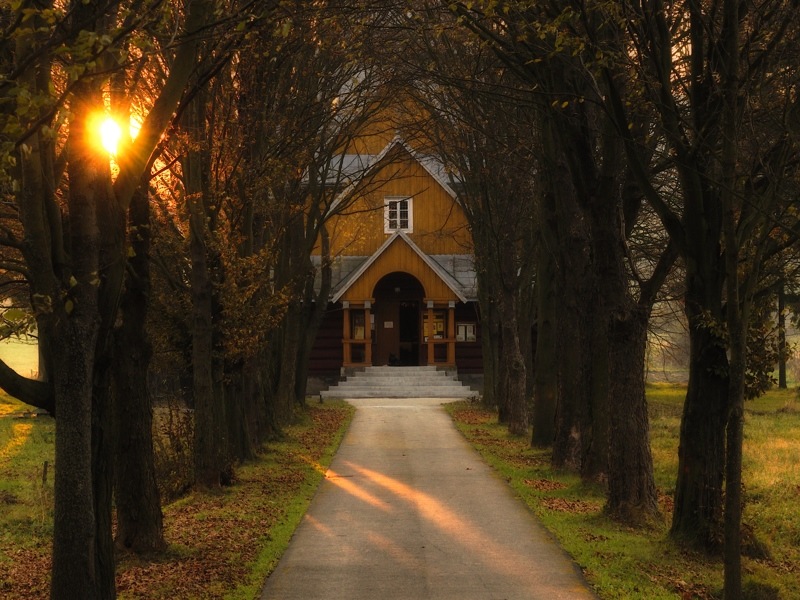 Raniutko