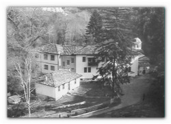 sepia 
...а few years ago 
2012-11-05 19:56:06