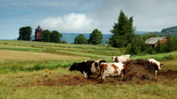 Adam Falkowski 
 
2012-11-10 14:48:01