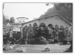 sepia 
... a few years ago 
2012-11-13 22:03:58