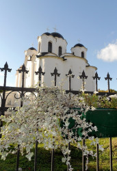 Sofia-8 
Никольский собор 
2012-11-14 20:26:29