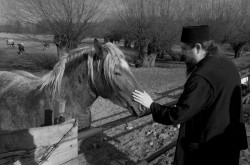 rps 
*** O. Sofroniusz *** 
2012-11-19 21:47:47