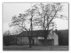 sepia 
...а few years ago 
2012-11-20 23:15:35