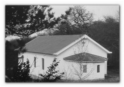 sepia 
...a few years ago 
2012-11-20 23:17:11