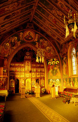 gabrielmarian 
Golden Palace 
2012-11-24 18:43:24