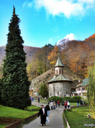Claudia_Teo 
Manastirea "Sfantul Evanghelist Ioan" Prislop - Episcopia Devei si Hunedoarei 
2012-11-26 09:41:31