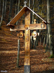 Claudia_Teo 
Cruce - Manastirea Prislop 
2012-11-26 09:55:24