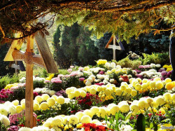 Claudia_Teo 
Mormantul Parintelui Arsenie Boca de la Manastirea Prislop 
2012-11-26 10:09:21