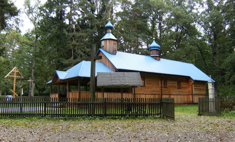 Krynoczka jesienna
