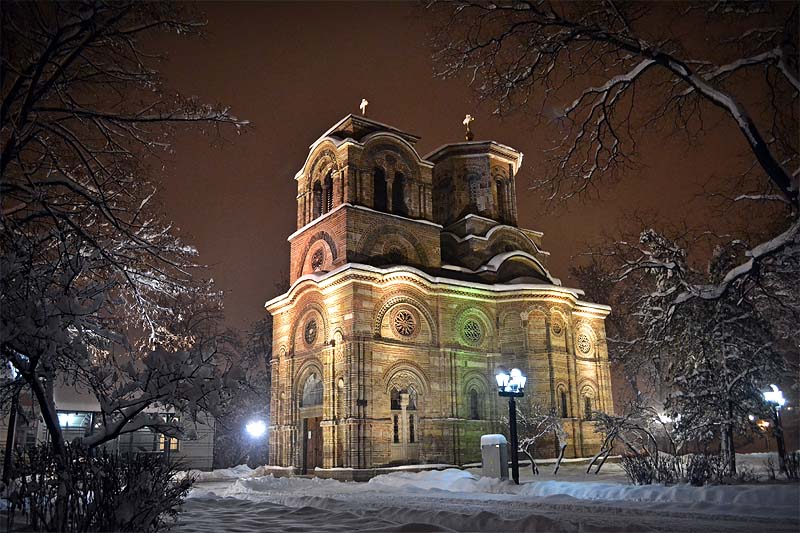 Лазарица у снегу 