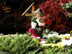 Claudia_Teo 
Bucuria ascultarii - la Prislop 
2012-12-03 19:36:53