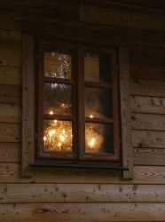 jurek 
Krynoczka jesienna 
2012-12-07 14:14:27