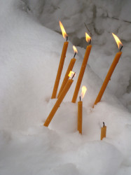 Diandra 
Lumanari 
2012-12-09 11:48:37