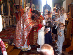 szolucha.w 
Święta eucharystia 
2012-12-09 20:47:12