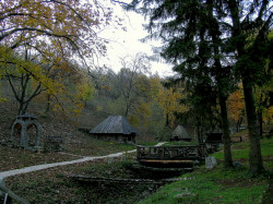 Miladin.Š 
Manastir Velika Remeta - dvorište 
2012-12-12 20:49:39