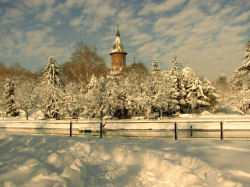 ursiy 
Metropolitan Cathedral of Timisoara  (2) 
111 
2012-12-16 22:35:01