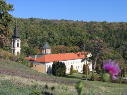 jarek1 
Novo Hopovo Monastery 
2012-12-21 07:00:41