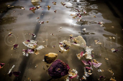 VELAR GRANT 
Jordan River 
2012-12-21 22:34:38