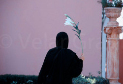 VELAR GRANT 
Pilgrims 
2012-12-21 22:36:33