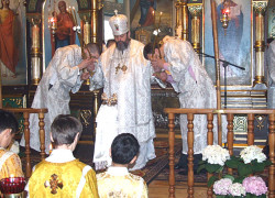 szolucha.w 
 Jego Ekscelencja Najprzewielebniejszy Abel, Arcybiskup Lubelski i Chełmski 
2012-12-22 10:01:14