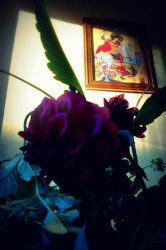 Nikolina.K 
 
2012-12-22 12:30:14