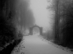 Nikolaj_BG 
Кръстова гора 
2012-12-30 21:08:27