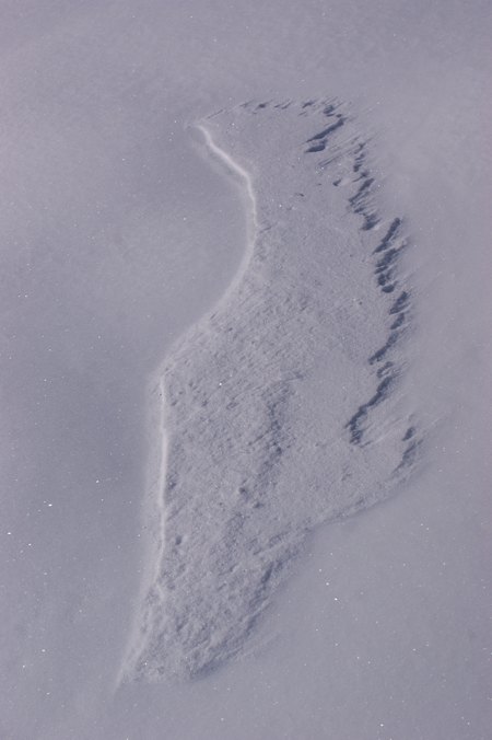 wing of an angel