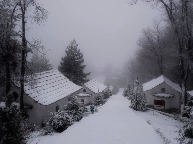 Кръстова гора