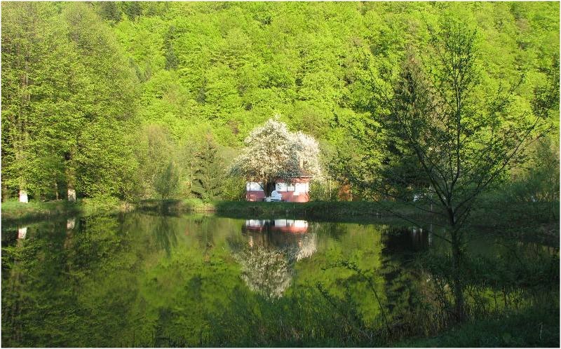The monastery Brancoveanu lake (2)