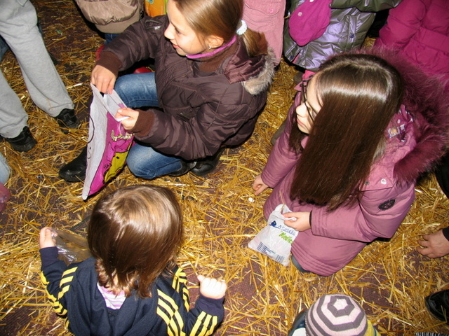 KLISINA - Pijukanje 2013