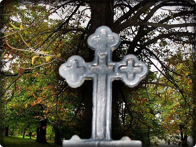 Крст је сила